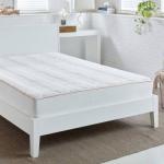 Dri-Tec 5.0 Performance Mattress Pad - Image 2