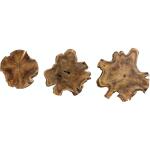 Kalani Teak Wall Art Set of 3