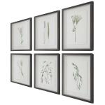 Forrest Finds Framed Prints, S/6 - Image 6