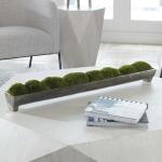 Large Canal Moss Centerpiece - Image 3