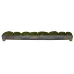 Large Canal Moss Centerpiece