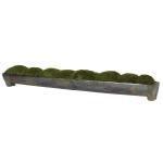 Large Canal Moss Centerpiece - Image 2