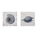 Shell I - Image 2