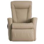Prince Lift Recliner - Image 2